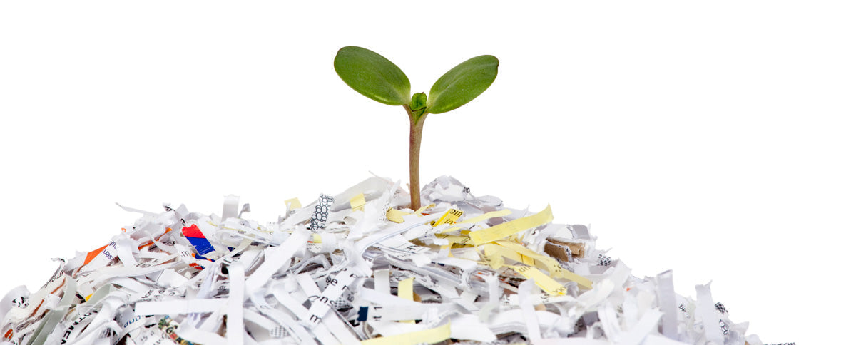 Embracing Sustainability in your Hotel with Green Paper Products