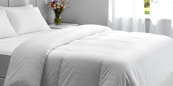 Duvets & Duvet Protectors