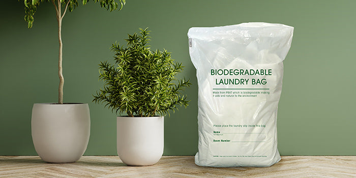 Laundry, Hairdryer, Shoe & Various Storage Bags