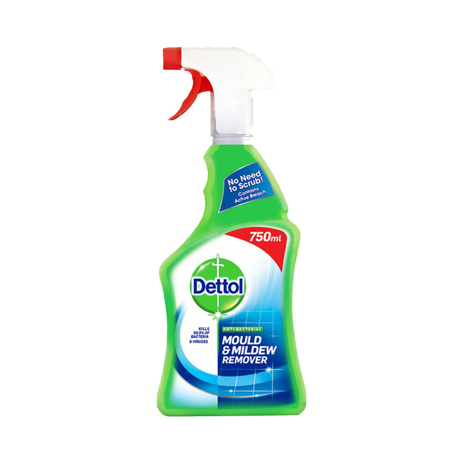 Dettol Mould & Mildew Remover 750ml