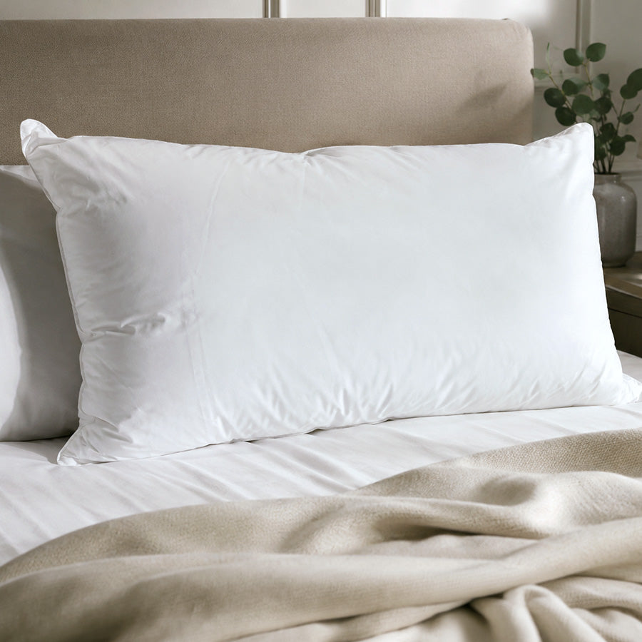 Eco Friendly Pillow