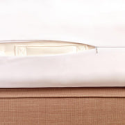 Encased Water & Bed Bug Proof Mattress Protector