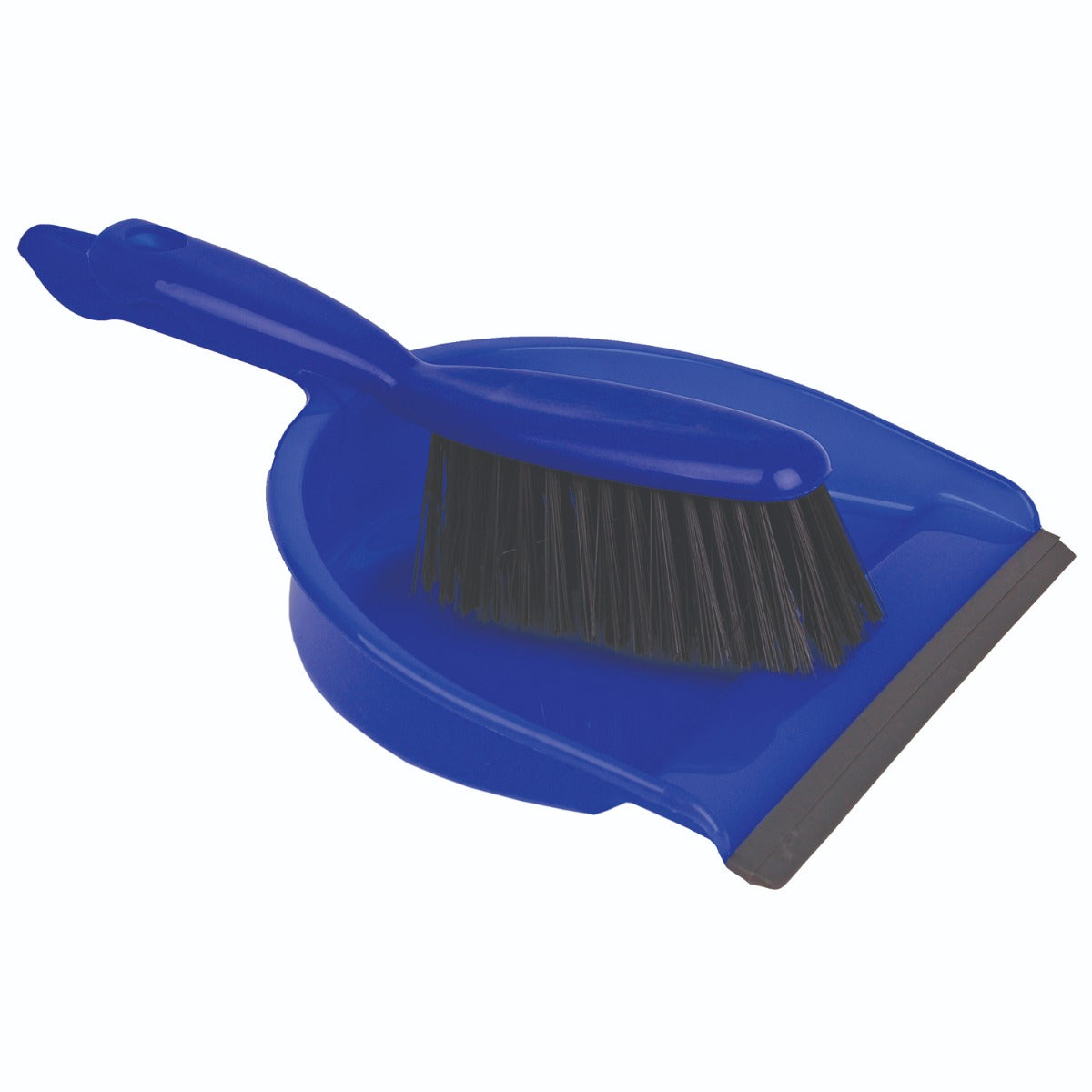 Blue Dustpan & Brush Set