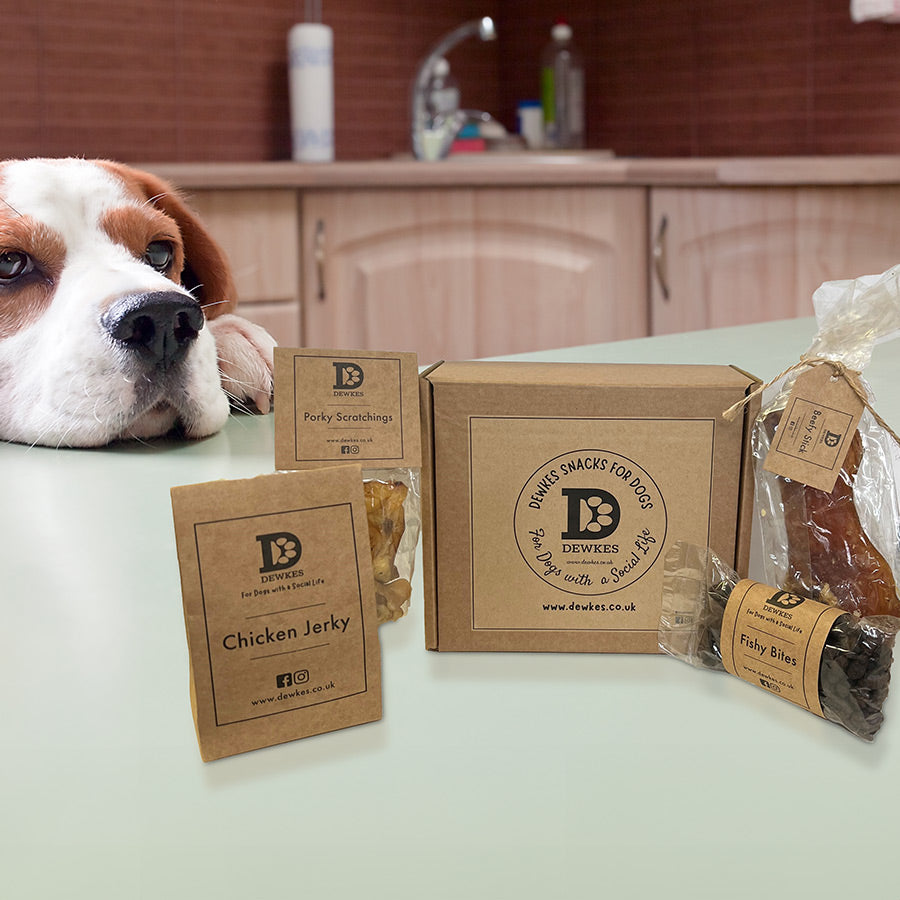 Dewkes Dog Gift Box