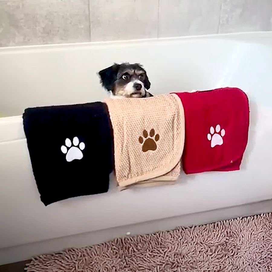 Dog Towels