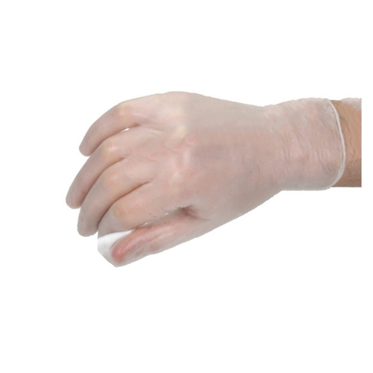 Clear Large Vinyl Gloves