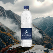Radnor Hills Still Water 500ml