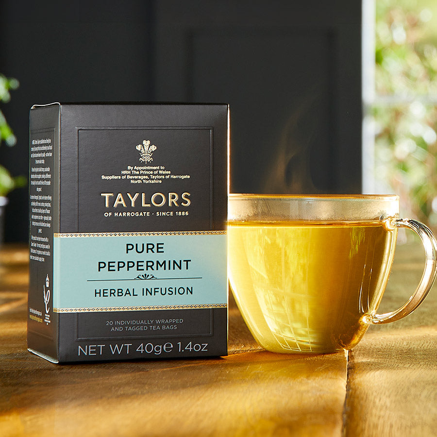 Taylors of Harrogate Organic Peppermint Tea